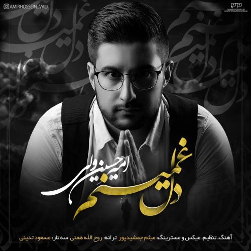 امیر حسین ولی دل غمینم